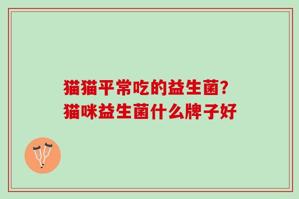 猫猫平常吃的益生菌？猫咪益生菌什么牌子好