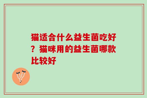 猫适合什么益生菌吃好?猫咪用的益生菌哪款比较好 猫适合什么益生菌吃好?猫咪用的益生菌哪款比较好
