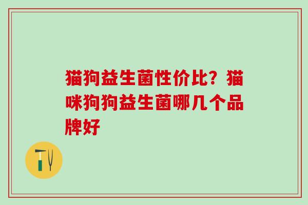 猫狗益生菌性价比？猫咪狗狗益生菌哪几个品牌好