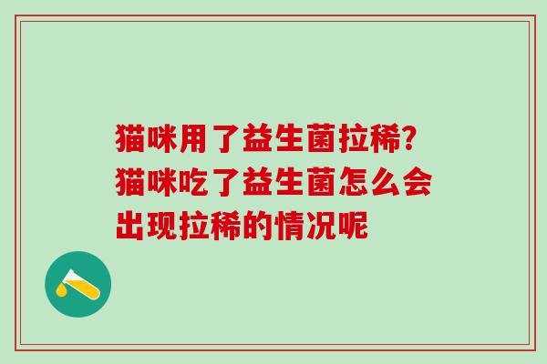 猫咪用了益生菌拉稀？猫咪吃了益生菌怎么会出现拉稀的情况呢