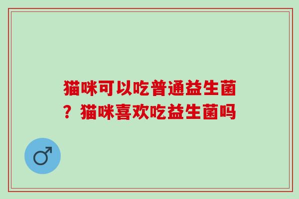 猫咪可以吃普通益生菌？猫咪喜欢吃益生菌吗