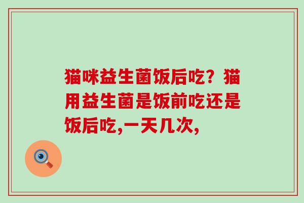 猫咪益生菌饭后吃？猫用益生菌是饭前吃还是饭后吃,一天几次,