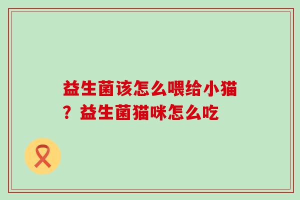 益生菌该怎么喂给小猫？益生菌猫咪怎么吃
