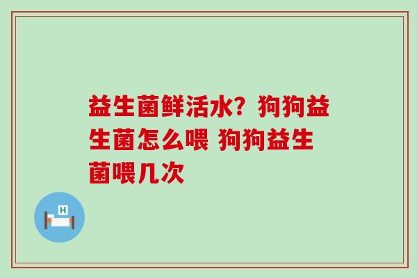 益生菌鲜活水？狗狗益生菌怎么喂 狗狗益生菌喂几次