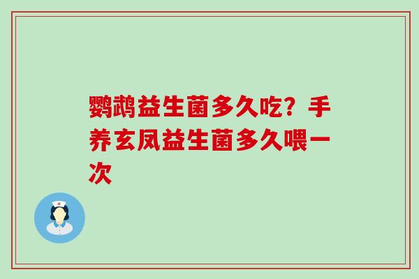 鹦鹉益生菌多久吃？手养玄凤益生菌多久喂一次