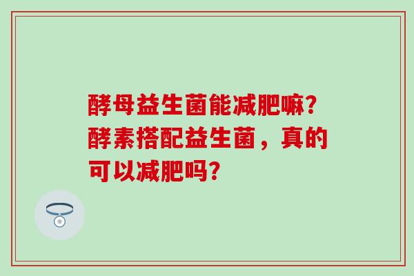 酵母益生菌能减肥嘛？酵素搭配益生菌，真的可以减肥吗？