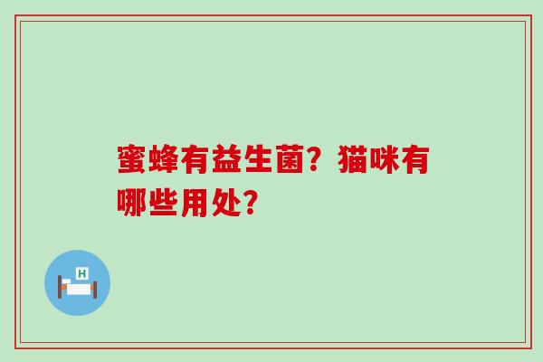 蜜蜂有益生菌？猫咪有哪些用处？