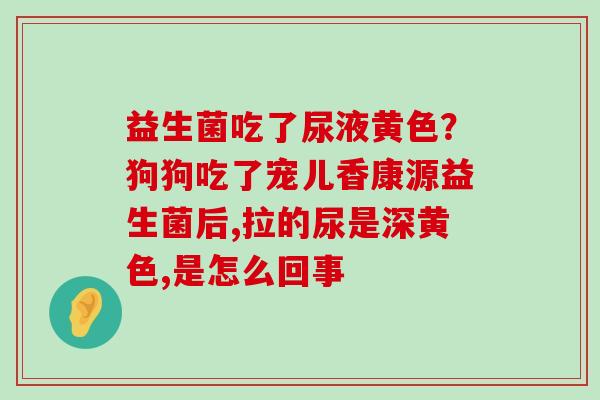 益生菌吃了尿液黄色？狗狗吃了宠儿香康源益生菌后,拉的尿是深黄色,是怎么回事