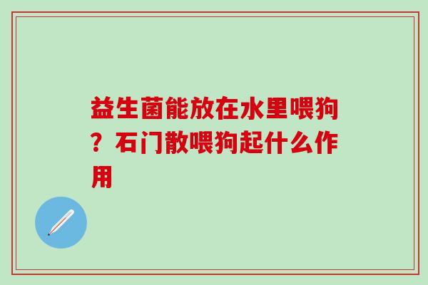 益生菌能放在水里喂狗？石门散喂狗起什么作用