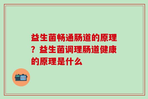 益生菌畅通肠道的原理？益生菌调理肠道健康的原理是什么