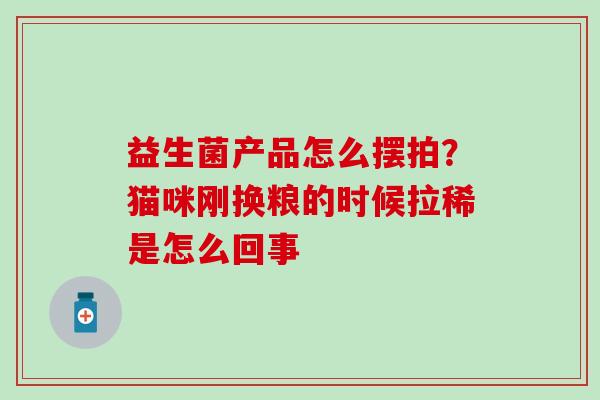 益生菌产品怎么摆拍？猫咪刚换粮的时候拉稀是怎么回事