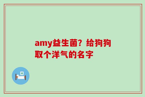 amy益生菌？给狗狗取个洋气的名字