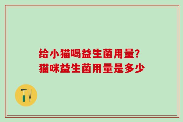 给小猫喝益生菌用量？猫咪益生菌用量是多少