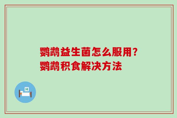 鹦鹉益生菌怎么服用？鹦鹉积食解决方法