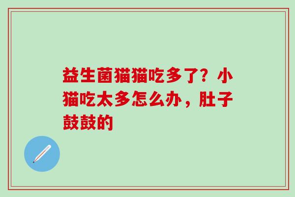 益生菌猫猫吃多了？小猫吃太多怎么办，肚子鼓鼓的