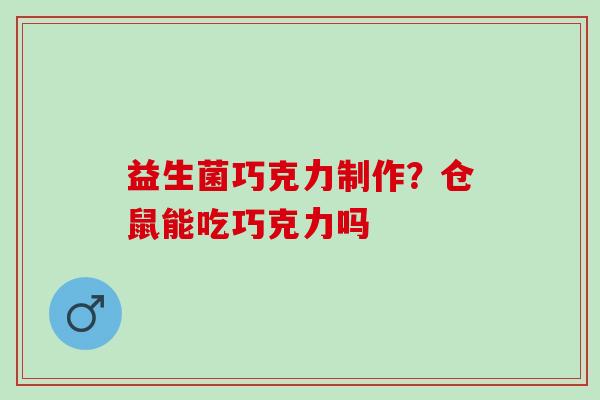 益生菌巧克力制作？仓鼠能吃巧克力吗