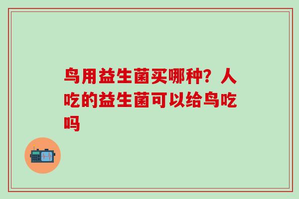 鸟用益生菌买哪种？人吃的益生菌可以给鸟吃吗