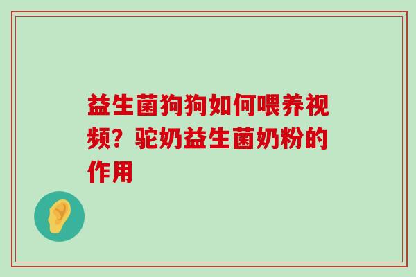 益生菌狗狗如何喂养视频？驼奶益生菌奶粉的作用