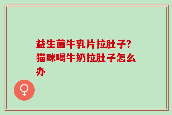 益生菌牛乳片拉肚子？猫咪喝牛奶拉肚子怎么办