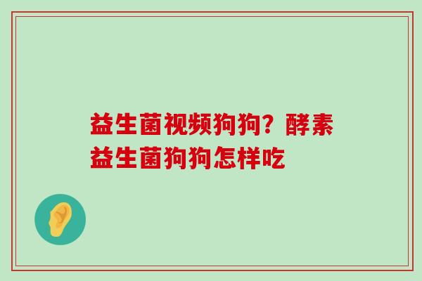益生菌视频狗狗？酵素益生菌狗狗怎样吃