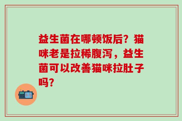 益生菌在哪顿饭后？猫咪老是拉稀腹泻，益生菌可以改善猫咪拉肚子吗？