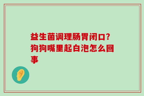 益生菌调理肠胃闭口？狗狗嘴里起白泡怎么回事