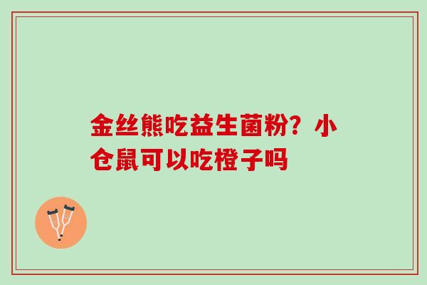 金丝熊吃益生菌粉？小仓鼠可以吃橙子吗