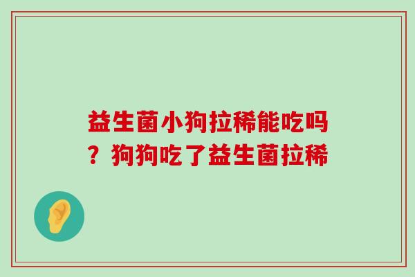 益生菌小狗拉稀能吃吗？狗狗吃了益生菌拉稀