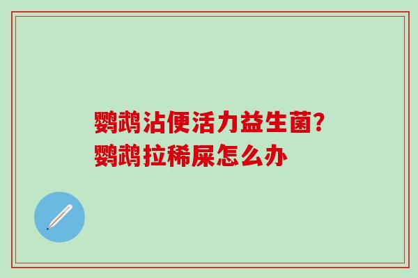 鹦鹉沾便活力益生菌？鹦鹉拉稀屎怎么办