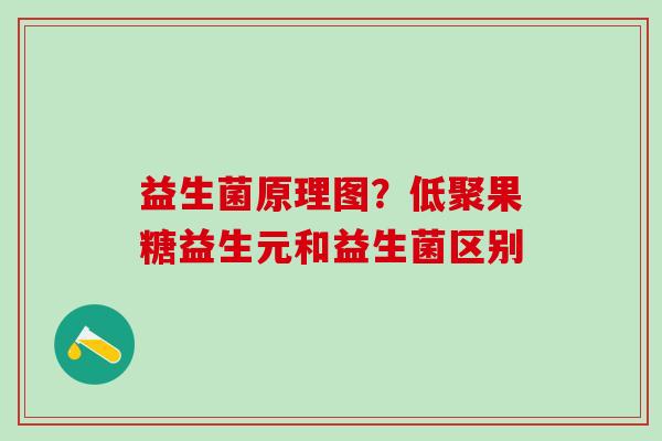 益生菌原理图？低聚果糖益生元和益生菌区别