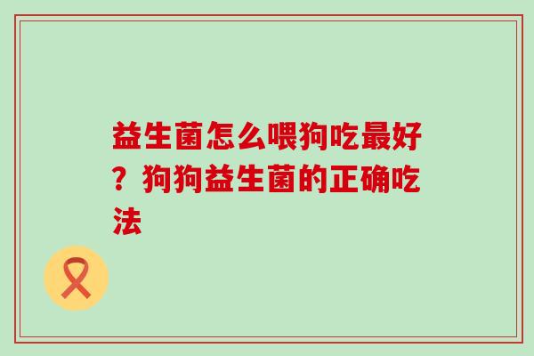 益生菌怎么喂狗吃最好？狗狗益生菌的正确吃法