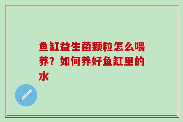 鱼缸益生菌颗粒怎么喂养？如何养好鱼缸里的水