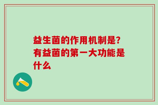 益生菌的作用机制是？有益菌的第一大功能是什么