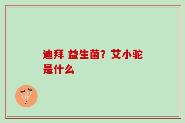 迪拜 益生菌？艾小驼是什么