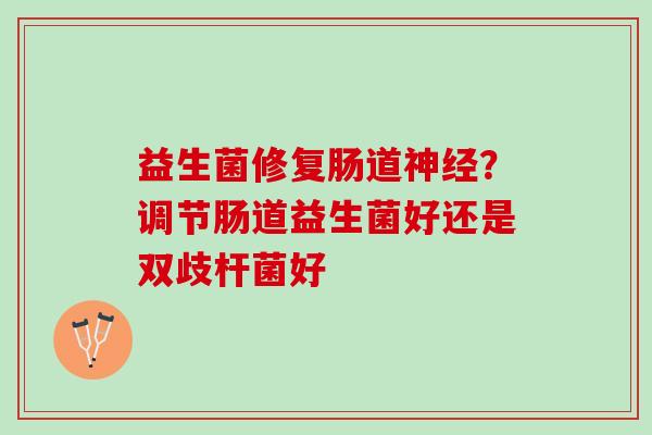 益生菌修复肠道神经？调节肠道益生菌好还是双歧杆菌好