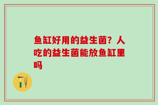 鱼缸好用的益生菌?人吃的益生菌能放鱼缸里吗 鱼缸好用的益生菌?人吃的益生菌能放鱼缸里吗