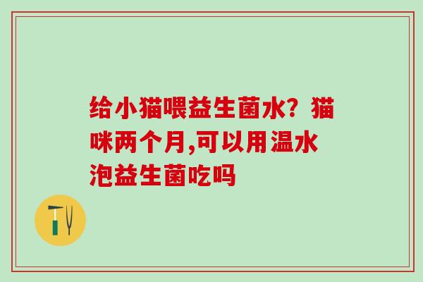 给小猫喂益生菌水？猫咪两个月,可以用温水泡益生菌吃吗
