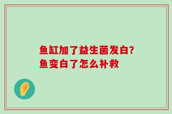 鱼缸加了益生菌发白？鱼变白了怎么补救