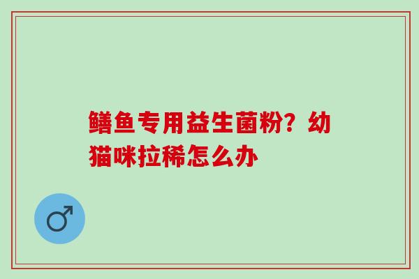 鳝鱼专用益生菌粉？幼猫咪拉稀怎么办