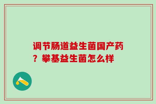 调节肠道益生菌国产药？攀基益生菌怎么样