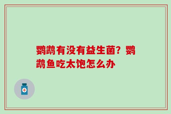 鹦鹉有没有益生菌？鹦鹉鱼吃太饱怎么办