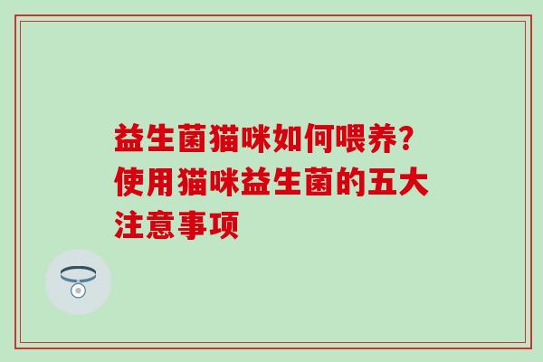 益生菌猫咪如何喂养？使用猫咪益生菌的五大注意事项
