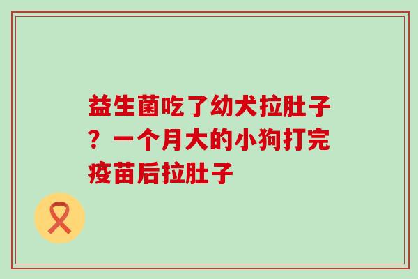 益生菌吃了幼犬拉肚子？一个月大的小狗打完疫苗后拉肚子