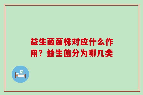 益生菌菌株对应什么作用？益生菌分为哪几类