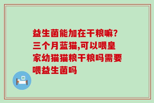 益生菌能加在干粮嘛？三个月蓝猫,可以喂皇家幼猫猫粮干粮吗需要喂益生菌吗