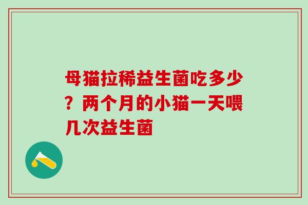 母猫拉稀益生菌吃多少？两个月的小猫一天喂几次益生菌