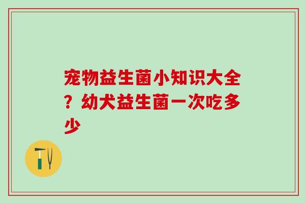宠物益生菌小知识大全？幼犬益生菌一次吃多少