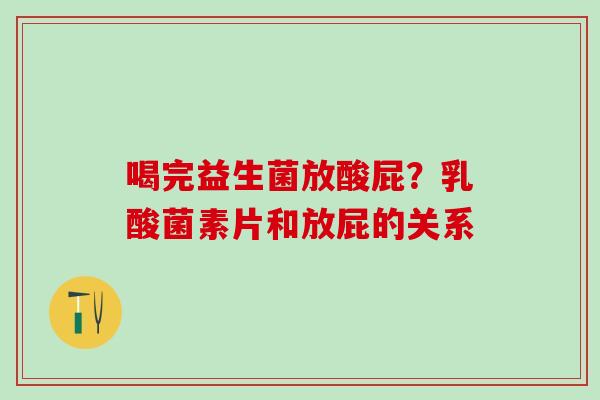 喝完益生菌放酸屁？乳酸菌素片和放屁的关系