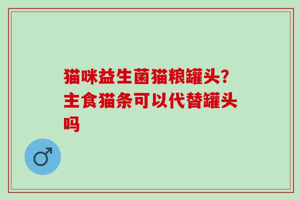 猫咪益生菌猫粮罐头？主食猫条可以代替罐头吗