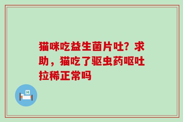猫咪吃益生菌片吐？求助，猫吃了驱虫药呕吐拉稀正常吗